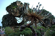 Pandora: The World of Avatar