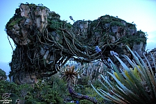 Pandora: The World of Avatar