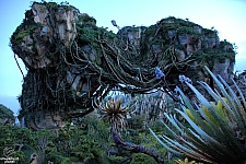 Pandora: The World of Avatar