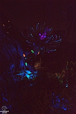 Pandora: The World of Avatar