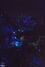 Pandora: The World of Avatar