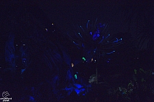 Pandora: The World of Avatar