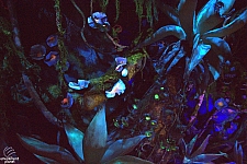 Avatar Flight of Passage