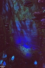 Avatar Flight of Passage