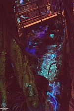 Avatar Flight of Passage