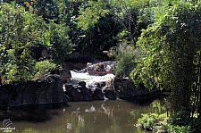 Kali River Rapids