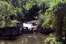 Kali River Rapids