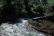 Kali River Rapids