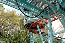 Primeval Whirl