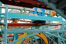 Primeval Whirl