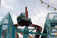 Primeval Whirl