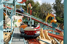 Primeval Whirl