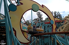 Primeval Whirl