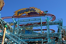 Primeval Whirl