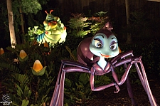A Bug's Land