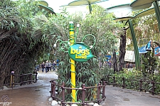 A Bug's Land