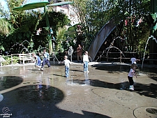 A Bug's Land