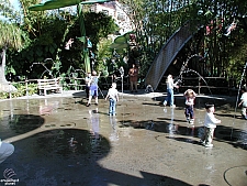 A Bug's Land