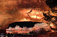 Cars Land