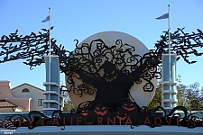 Front Gate