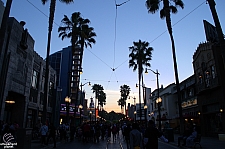 Hollywood Land