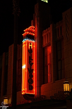Hollywood Land