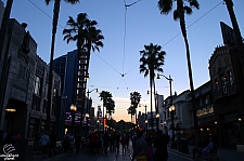 Hollywood Land