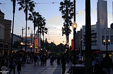 Hollywood Land