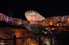 Radiator Springs Racers