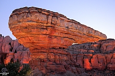 Radiator Springs Racers