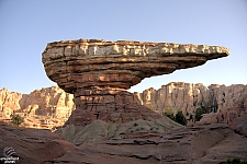 Radiator Springs Racers