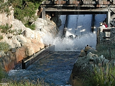 Grizzly River Rapids