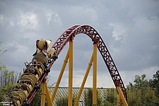 Slinky Dog Dash