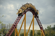 Slinky Dog Dash