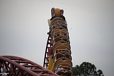 Slinky Dog Dash