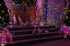 Osborne Family Spectacle of Dancing Lights