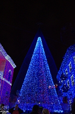 Osborne Family Spectacle of Dancing Lights