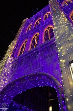 Osborne Family Spectacle of Dancing Lights