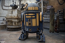 Star Wars: Galaxy's Edge