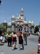 Sleeping Beauty Castle