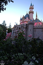 Sleeping Beauty Castle