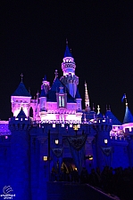 Sleeping Beauty Castle