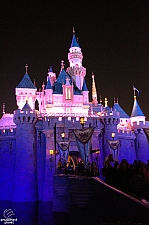 Sleeping Beauty Castle