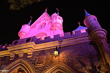 Sleeping Beauty Castle