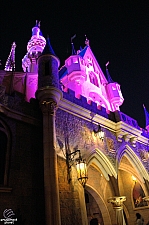 Sleeping Beauty Castle