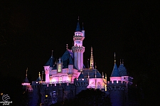 Sleeping Beauty Castle