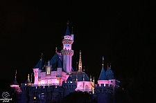 Sleeping Beauty Castle