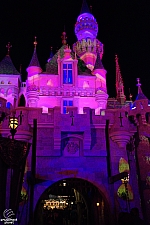 Sleeping Beauty Castle