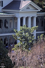 Haunted Mansion