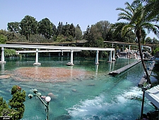 Finding Nemo Submarine Voyage